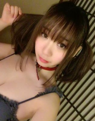 狗狗汪汪队立大功全集免费观看_蓝光手机在线看